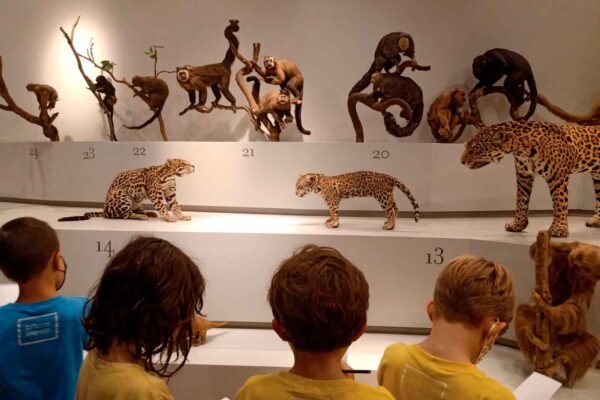 Rastro 1AnoM Museu Zoologia 220427-14