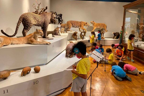 Rastro 1AnoM Museu Zoologia 220427-17